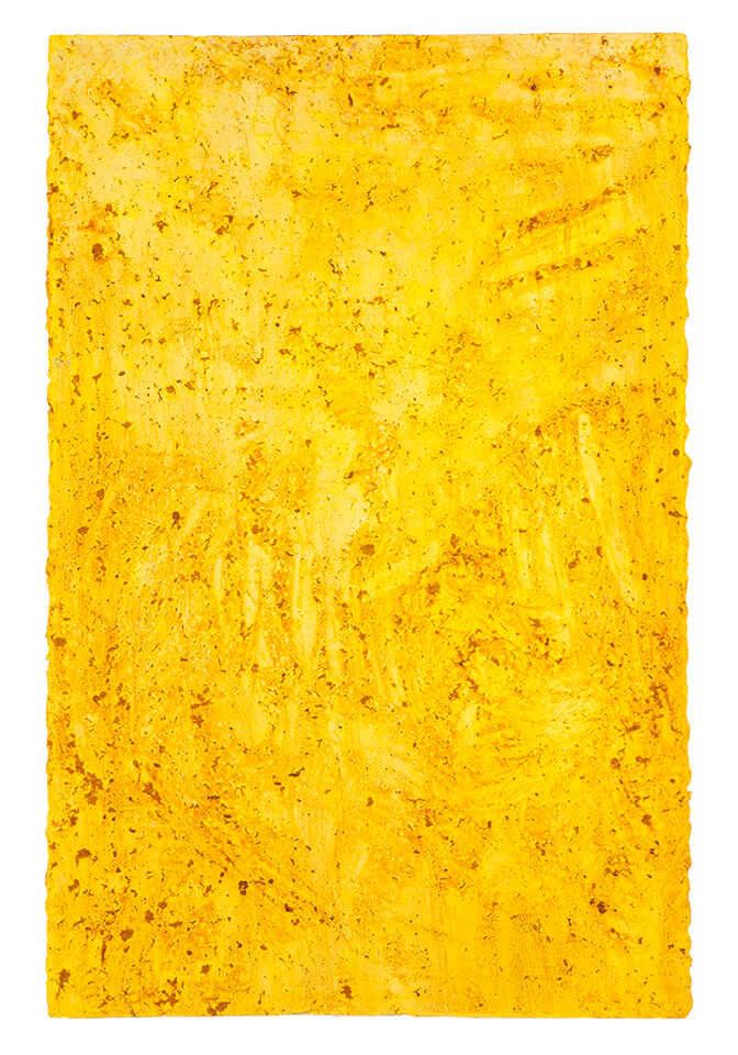 curcuma papel 23.jpg